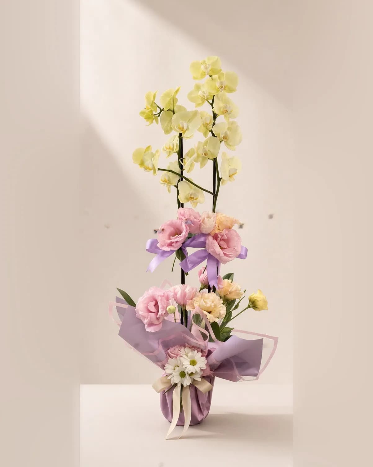 Lila ambalajlı saksıda pembe lisianthus ve papatyalarla süslenmiş çift dallı sarı orkide